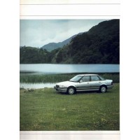 ROVER 25